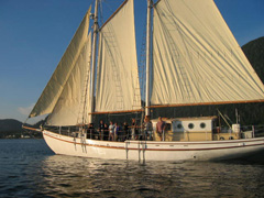 Mycia Schooner